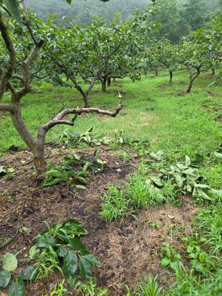 농촌사랑님의 자유주제 · 자유게시판 작성글 사진