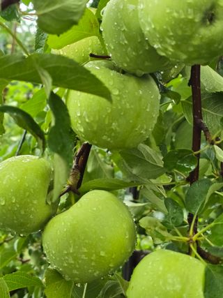 최동구님의 자유주제 · 자유게시판 작성글 사진