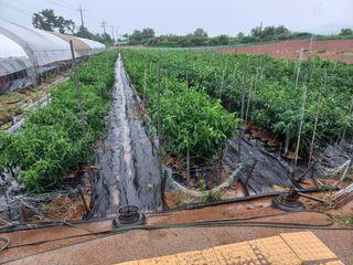 박린님의 자유주제 · 자유게시판 작성글 사진