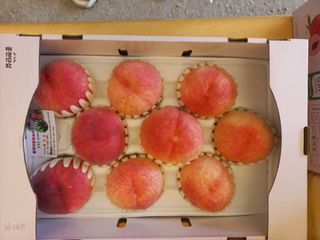 황덕순 님의 작성글 사진