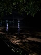 팜모닝 자유주제·자유게시판 게시글 이미지