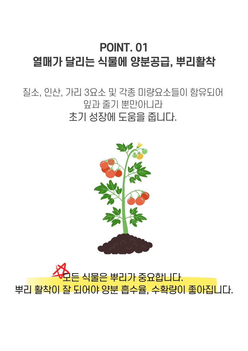 파머스케어님의 장터 판매 상품 [가든필리아 토마토비료 완숙 화분 방울토마토 열매달리는 식물 전용 알갱이 비료] 첨부 사진
