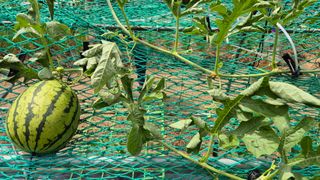 김진님의 자유주제 · 자유게시판 작성글 사진