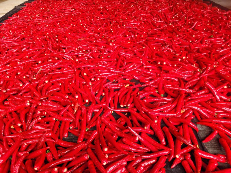 장터 상품 [고추가루, ] 썸네일