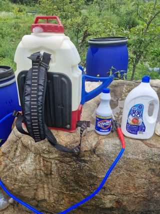 당근한개님의 자유주제 · 자유게시판 작성글 사진