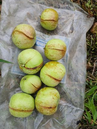 황영래님의 자유주제 · 자유게시판 작성글 사진