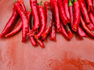 조정숙(1955)님의 자유주제 · 자유게시판 작성글 사진