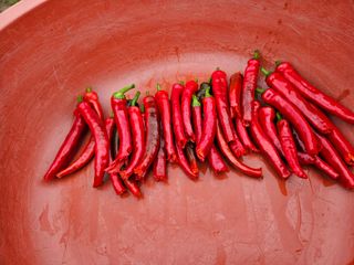 조정숙(1955)님의 자유주제 · 자유게시판 작성글 사진