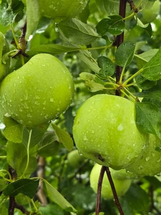 최동구님의 자유주제 · 자유게시판 작성글 사진