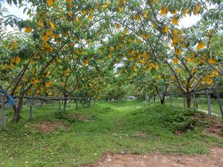 황덕순 님의 자유주제 · 자유게시판 작성글 사진