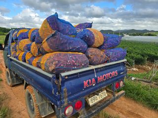 박수열님의 자유주제 · 자유게시판 작성글 사진