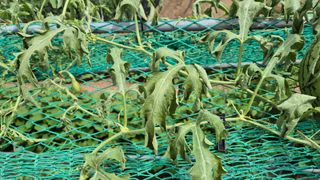 김진님의 자유주제 · 자유게시판 작성글 사진