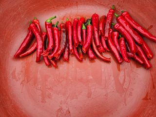 조정숙(1955)님의 자유주제 · 자유게시판 작성글 사진