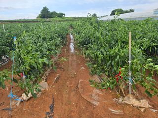 박수열님의 자유주제 · 자유게시판 작성글 사진