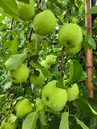 최동구님의 자유주제 · 자유게시판 작성글 사진