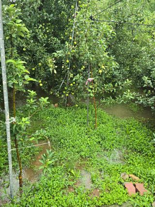 최동구님의 자유주제 · 자유게시판 작성글 사진