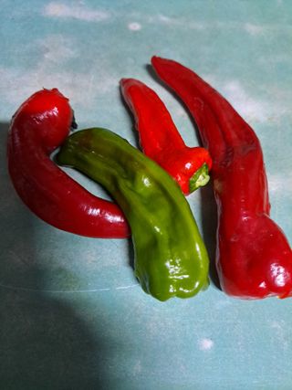 좋은인연원님의 자유주제 · 자유게시판 작성글 사진