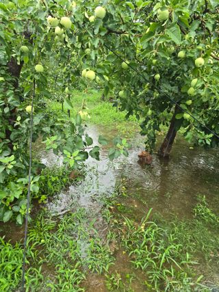 최동구님의 자유주제 · 자유게시판 작성글 사진