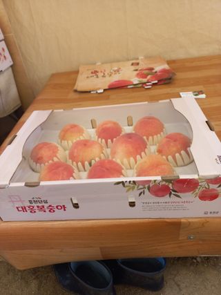 황덕순 님의 자유주제 · 자유게시판 작성글 사진