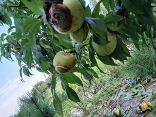 호박16023님의 자유주제 · 자유게시판 작성글 사진