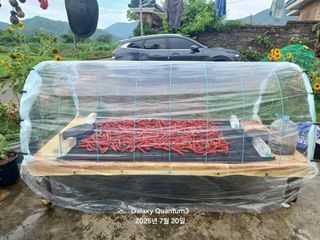 전진규.해돋이님의 농사, 무엇이든 물어보세요! · 참여글 작성글 사진