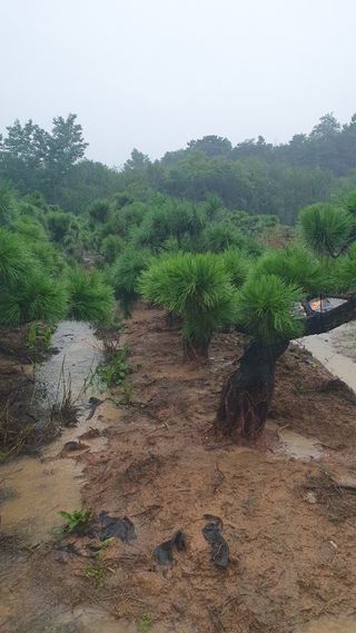 알 수 없음님의 자유주제 · 사진전 작성글 사진