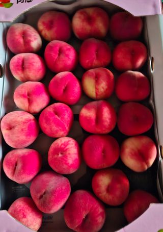 철남 김희곤님의 자유주제 · 자유게시판 작성글 사진