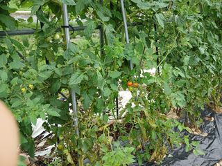 알 수 없음님의 자유주제 · 자유게시판 작성글 사진