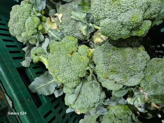 강선식님의 자유주제 · 자유게시판 작성글 사진