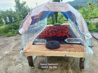 전진규.해돋이님의 농사, 무엇이든 물어보세요! · 참여글 작성글 사진