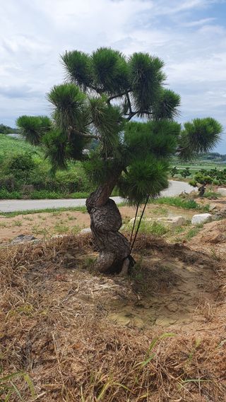 알 수 없음님의 자유주제 · 사진전 작성글 사진