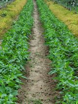 팜모닝 자유주제·사진전 게시글 이미지