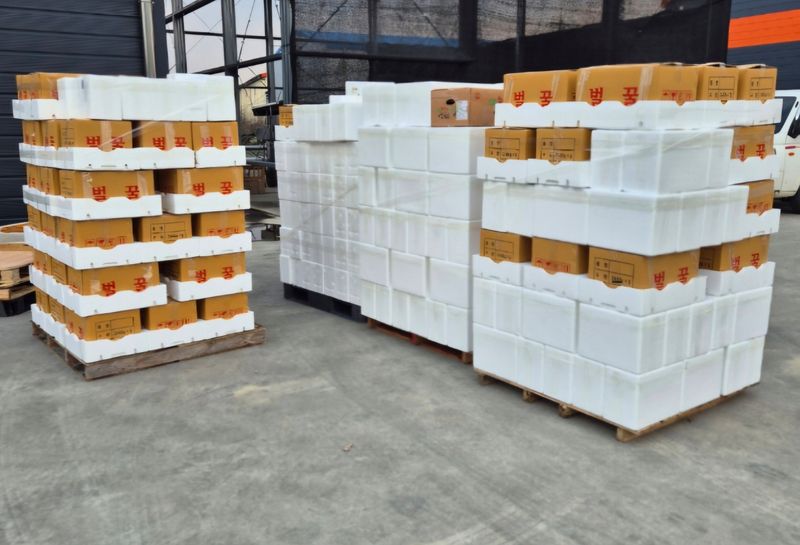 벌꿀*직접생산농장님의 장터 판매 상품 [답례품 순수벌꿀 270g 1구ㆍ1세트] 첨부 사진