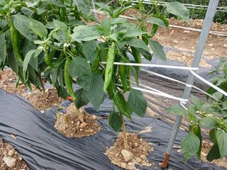 알 수 없음님의 자유주제 · 자유게시판 작성글 사진