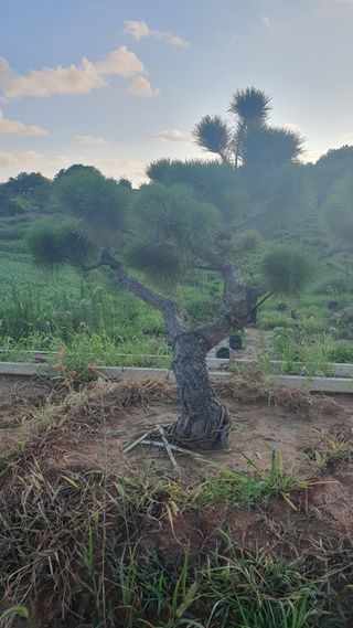 작은소나무님의 자유주제 · 사진전 작성글 사진