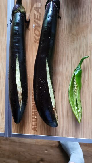 카이님의 자유주제 · 자유게시판 작성글 사진