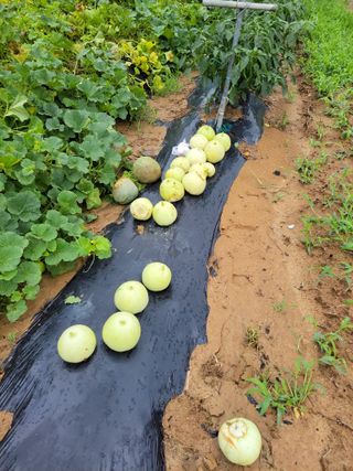 원빈님의 자유주제 · 자유게시판 작성글 사진