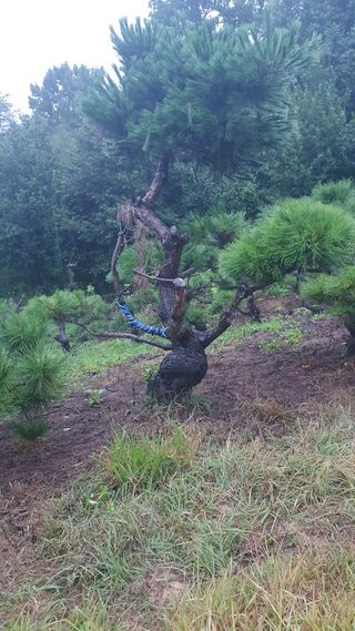 알 수 없음님의 자유주제 · 사진전 작성글 사진