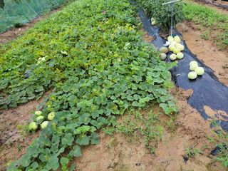 원빈님의 자유주제 · 자유게시판 작성글 사진