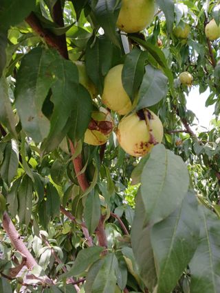 호박16023님의 자유주제 · 자유게시판 작성글 사진