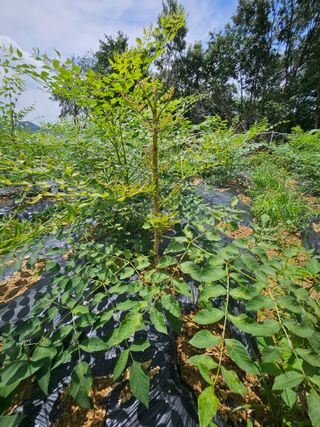 빛날욱님의 자유주제 · 자유게시판 작성글 사진