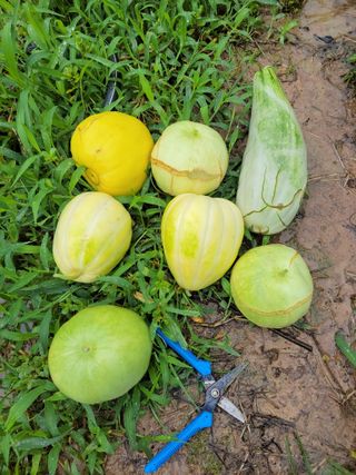 원빈님의 자유주제 · 자유게시판 작성글 사진