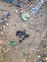 팜모닝 자유주제·자유게시판 게시글 이미지