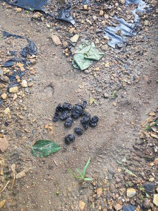 김정배님의 자유주제 · 자유게시판 작성글 사진