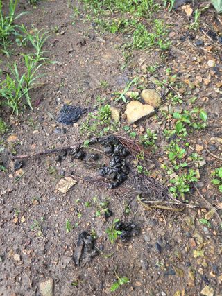 김정배님의 자유주제 · 자유게시판 작성글 사진