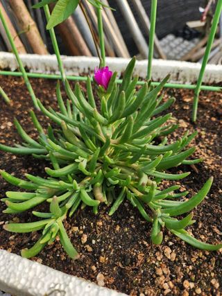 이대석님의 자유주제 · 자유게시판 작성글 사진