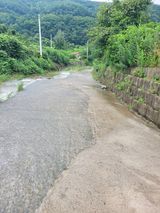 팜모닝 · 게시글 이미지