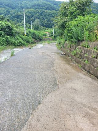 동길니우스님의 작성글 사진