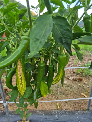 감6731님의 자유주제 · 자유게시판 작성글 사진