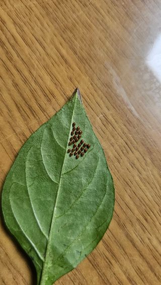 강병천님의 자유주제 · 사진전 작성글 사진